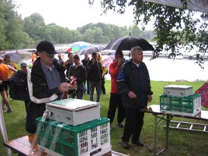 Grossensee 144